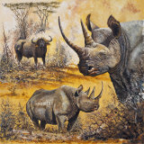 Safari I Kunstdrucke von Peter Blackwell