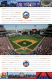 Shea Stadium Prints