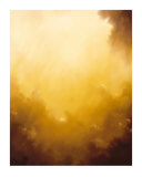 Golden Wonders Prints by Dion Salvador Lloyd