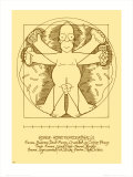 The Simpsons - Vitruvian Homer - Reprodüksiyon