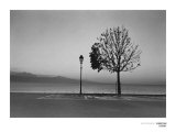 Lutry, Lac Leman Poster von Christian Coigny