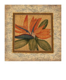 Exotic Beauty I Limited Edition by Mark St. John
