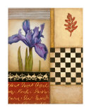 Fleur de Lis II Edition limitée par Sean Jacobs