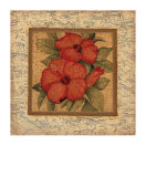 Exotic Beauty II Limited Edition by Mark St. John