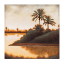 Down at the Oasis II Limited Edition by Mark St. John