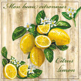 Mon Beau Citronnier Láminas por Noel Romero