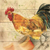 Coq Art by Clauva 