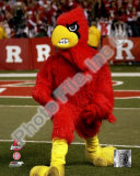 University of Louisville Photo