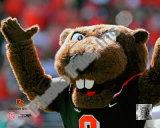 Oregon State University Photo