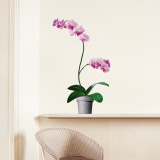 Orquídeas Vinilos decorativos