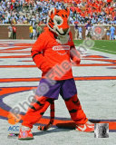 Clemson University Tigers Mascot Photo