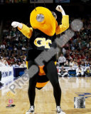 Georgia Tech Yellowjacket Photo