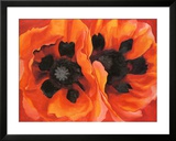 Coquelicots orientaux, 1928 Affiches par Georgia O'Keeffe