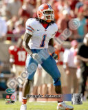 Reggie Nelson Photo
