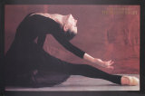 Black Swan Reproductions pour les collectionneurs par Harvey Edwards