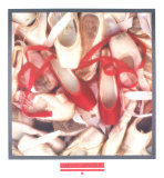 Red Shoes Lámina por Harvey Edwards