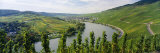 Vineyards Along Moselle River, Mosel-Saar-Ruwer, Germany Photographic Print by Panoramic Images 