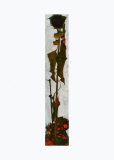 Sunflower, c.1909 Posters par Egon Schiele