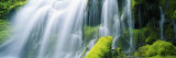 Close-Up of Waterfall on Moss Covered Rocks Photographic Print by Panoramic Images 