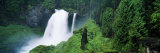 Waterfall in Lush Green Forest Photographic Print by Panoramic Images 