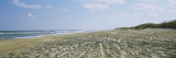 Tire Tracks on the Beach, Cape Hatteras, Outer Banks, North Carolina, USA Photographic Print by Panoramic Images 