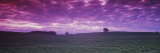 Clouds over a Soybean Field, Albert Lea Township, Freeborn County, Minnesota, USA Photographic Print by Panoramic Images 