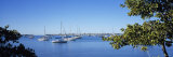 Sailboat Moored at a Harbor, Bayfront Park, Sarasota Bay, Sarasota, Florida, USA Lámina fotográfica por Panoramic Images