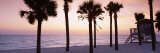 Palm Trees and a Lifeguard Hut on Lido Beach, Gulf of Mexico, St Armands Key, Florida, USA Lámina fotográfica por Panoramic Images Palm Trees and a Lifeguard Hut on Lido Beach, Gulf of Mexico, St Armands Key, Florida, USA Lámina fotográfica por Panoramic Images