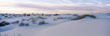 Desert Plants on Sand Dunes, White Sands National Monument, New Mexico, USA Lámina fotográfica por Panoramic Images
