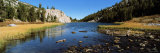 Trees Along a River, Little Lakes Valley, Eastern Sierra, California, USA Photographic Print by Panoramic Images 