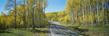 Recreational Vehicle Driving on Road Winding Through Aspen Forest Photographic Print by Panoramic Images 