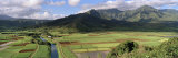 Field with Mountains in the Background, Hanalei Valley, Kauai, Hawaii, USA Lámina fotográfica por Panoramic Images Field with Mountains in the Background, Hanalei Valley, Kauai, Hawaii, USA Lámina fotográfica por Panoramic Images