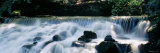 Waterfall in a Forest, Aberfeldy Birks, Perthshire, Scotland Lámina fotográfica por Panoramic Images