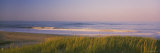 Marram Grass on the Beach, Parker River National Wildlife Refuge, Newbury, Massachusetts, USA Lámina fotográfica por Panoramic Images Marram Grass on the Beach, Parker River National Wildlife Refuge, Newbury, Massachusetts, USA Lámina fotográfica por Panoramic Images