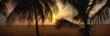 7-Mile Beach at Sunset, Negril, Jamaica Fotografie-Druck von Panoramic Images 