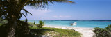 Palm Tree on the Beach, Caribbean Sea, Punta Bete, Yucatan, Mexico Photographic Print by Panoramic Images 