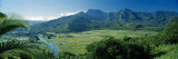Taro Fields, Hanalei Valley, Kauai, Hawaii, USA Photographic Print by Panoramic Images 