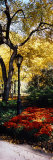 Lamppost in a Park, Central Park, Manhattan, New York City, New York, USA Photographie par Panoramic Images 