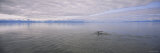 Clouds over the Sea, Frederick Sound, Alaska, USA Photographic Print by Panoramic Images 