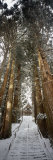 Nagano, Tokyo Prefecture, Japan Lámina fotográfica por Panoramic Images Nagano, Tokyo Prefecture, Japan Lámina fotográfica por Panoramic Images