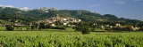 Vines in a Vineyard, Cotes du Rhone, Sablet, Vaucluse, Provence, France Lámina fotográfica por Panoramic Images Vines in a Vineyard, Cotes du Rhone, Sablet, Vaucluse, Provence, France Lámina fotográfica por Panoramic Images