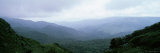 Trees on Mountains, Puntarenas, Costa Rica, USA Fotografisk tryk af Panoramic Images Trees on Mountains, Puntarenas, Costa Rica, USA Fotografisk tryk af Panoramic Images