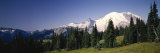 Mt Rainier, Washington, USA Photographic Print by Panoramic Images 
