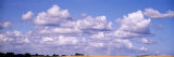 Clouds over a Corn Field, Germany Photographic Print by Panoramic Images 