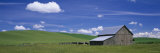 Cows and a Barn in a Wheat Field, Washington, USA Photographie par Panoramic Images 