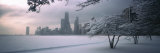 Snow Covered Tree at North Avenue Beach, Chicago, Illinois, USA Fotografie-Druck von Panoramic Images 