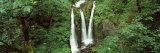 Trees in Columbia River Gorge, Columbia River, Oregon, USA Lámina fotográfica por Panoramic Images Trees in Columbia River Gorge, Columbia River, Oregon, USA Lámina fotográfica por Panoramic Images