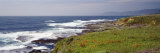 Waves Breaking on the Coast, Marin Headlands, Westport, California, USA Photographie par Panoramic Images 