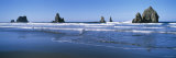 Rock Formations in the Sea, Harris Beach State Park, Oregon, USA Photographie par Panoramic Images 