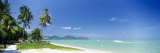 Palm Trees on the Beach, Penang, Malaysia Fotografie-Druck von Panoramic Images 